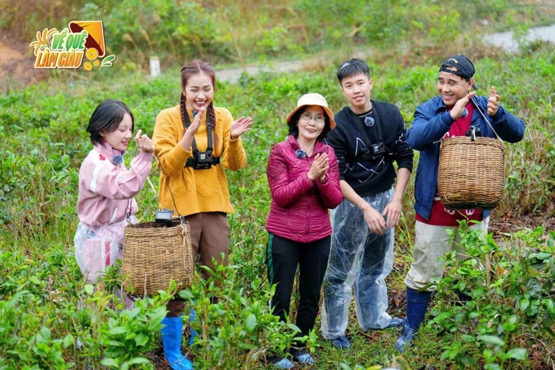 Các nghệ sĩ tham gia hái chè