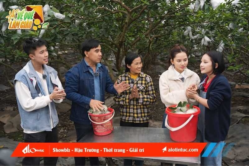 Các nghệ sĩ tham gia thử thách hái ổi tại chặng Hải Dương