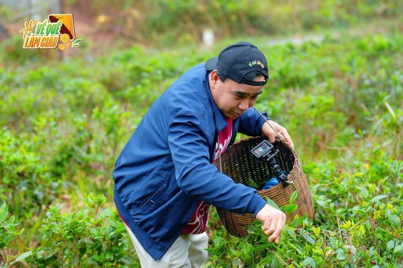 Quyền Linh trải nghiệm tại làng chè ở Quảng Ninh