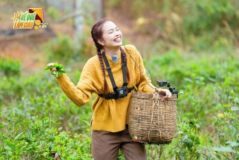 Ngọc Châu trong thử thách hái chè