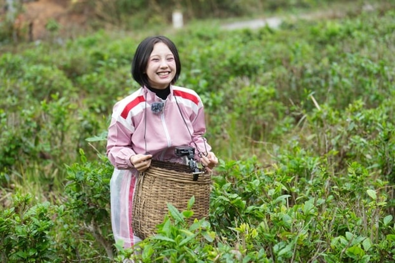 Thu Hà Ceri trong thử thách hái chè