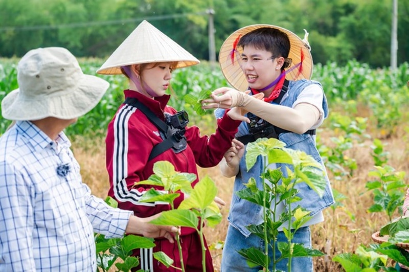 Làng Lụa Mã Châu – Di Sản Văn Hóa Quảng Nam